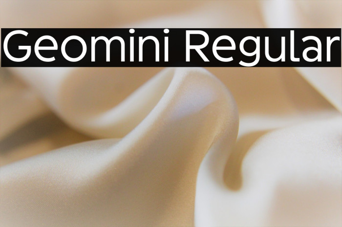 Geomini Regular Example 2