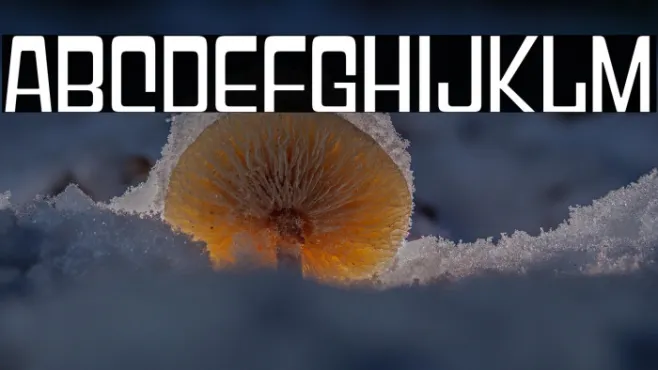 GeoparodyRg-Regular Example 1