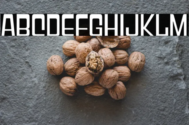 GeoparodyRg-Regular Example 3