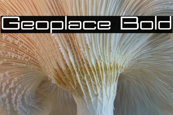 Geoplace Bold Example 1