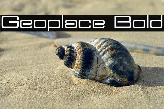 Geoplace Bold Example 3