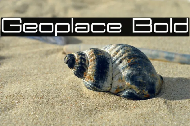 Geoplace Bold Example 3