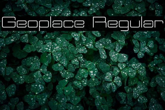 Geoplace Regular Example 1