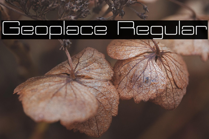 Geoplace Regular Example 2