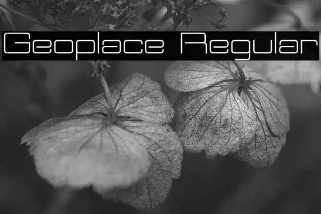 Geoplace Regular Polices examples