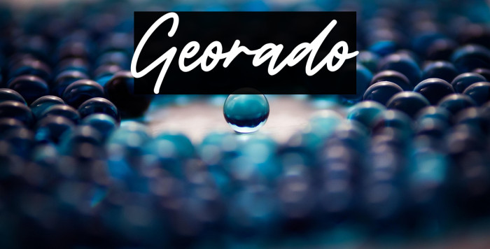 Georado Example 1