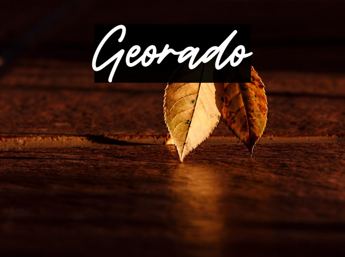Georado Example 3