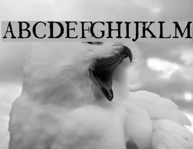 GeorgLight Polices examples