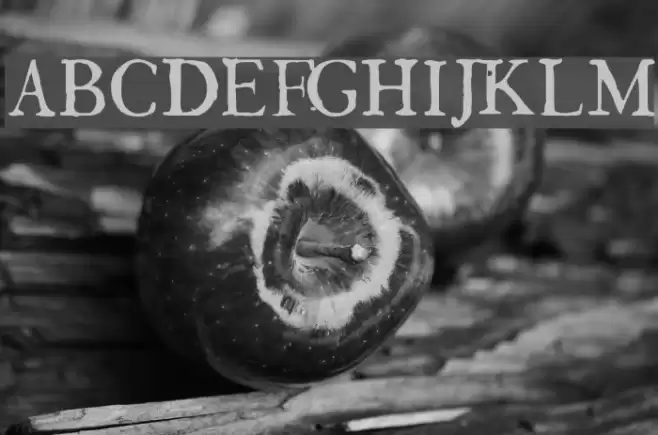 GeorgLight Polices examples