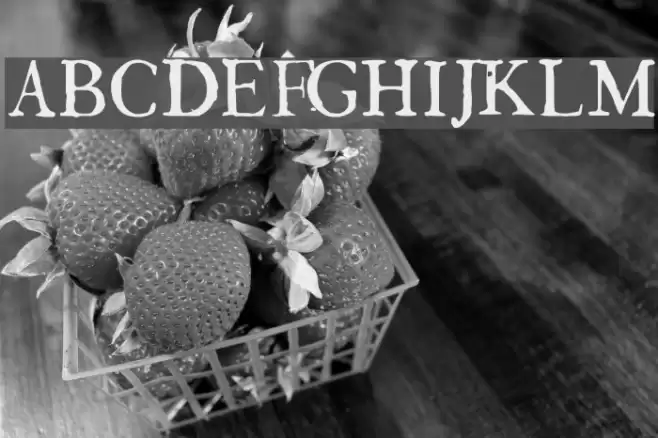 GeorgLight Polices examples