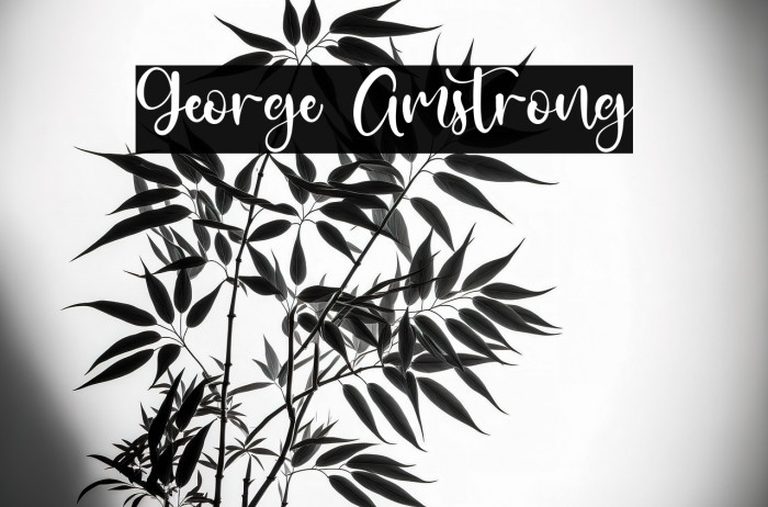 George Amstrong Example 2
