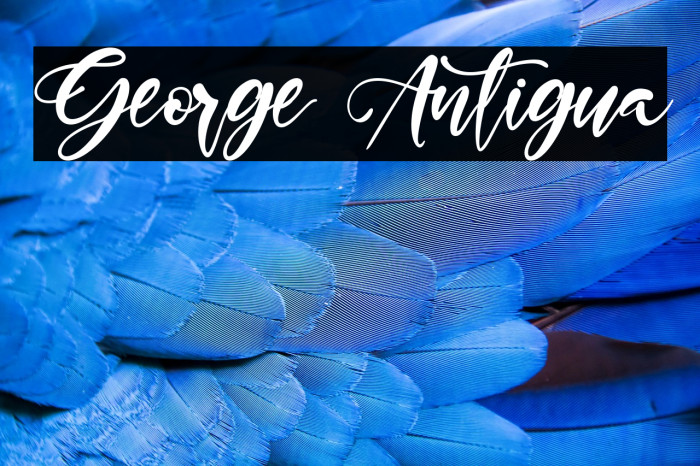 George Antigua Example 1