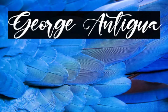 George Antigua Example 1