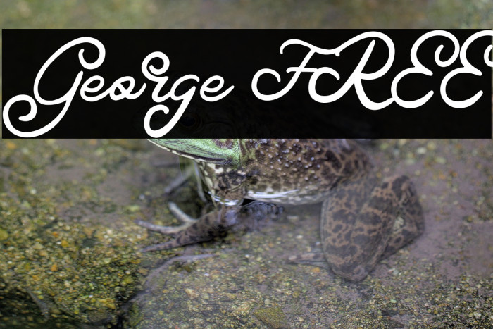 George FREE Example 1
