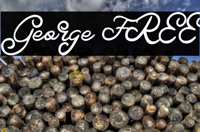 George FREE Example 2