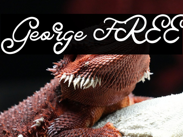 George FREE Example 3