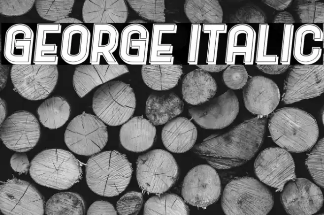 George Italic フォント examples