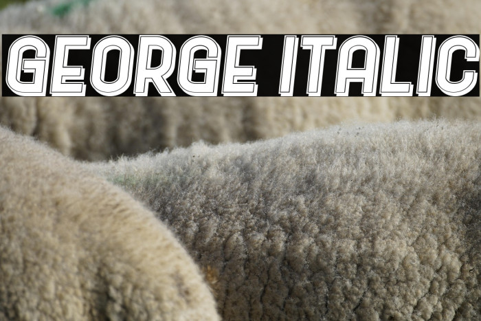 George Italic Example 2