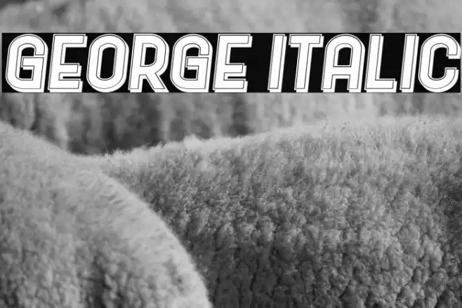 George Italic フォント examples