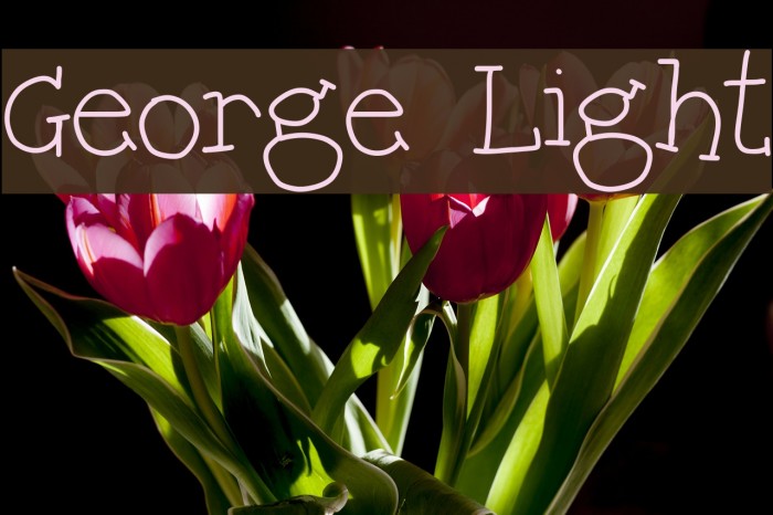 George Light Font examples