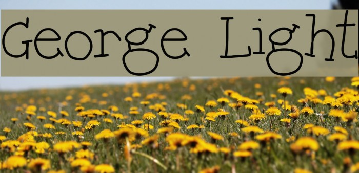 George Light Font examples