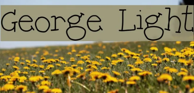 George Light Example 2