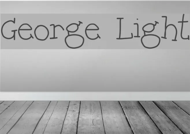 George Light Example 3