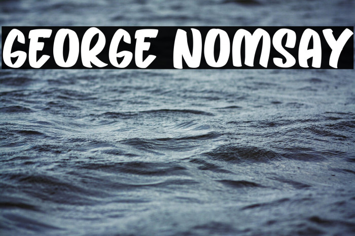George Nomsay Example 2