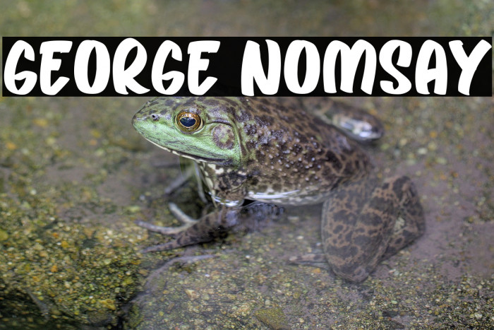 George Nomsay Example 3