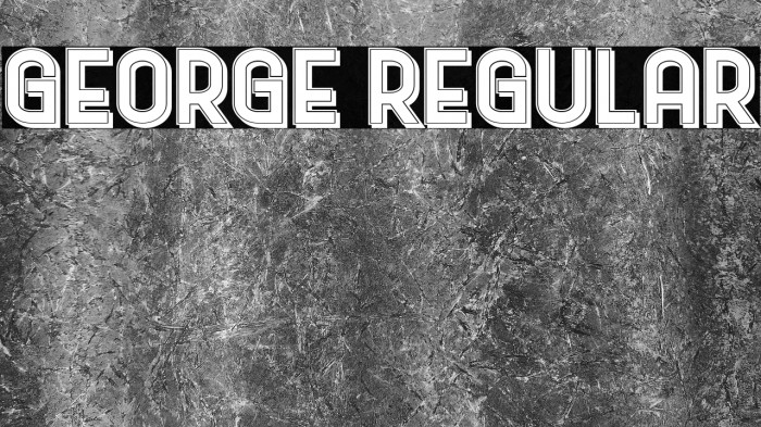 George Regular Example 2