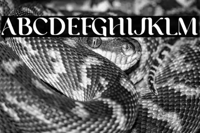 George Font examples