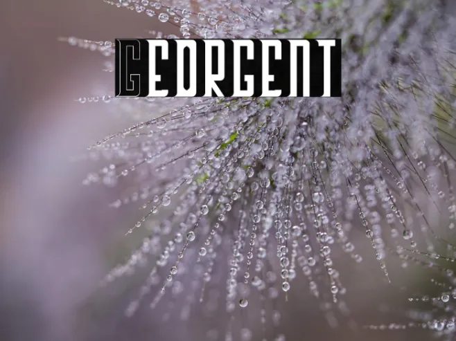 Georgent Example 1