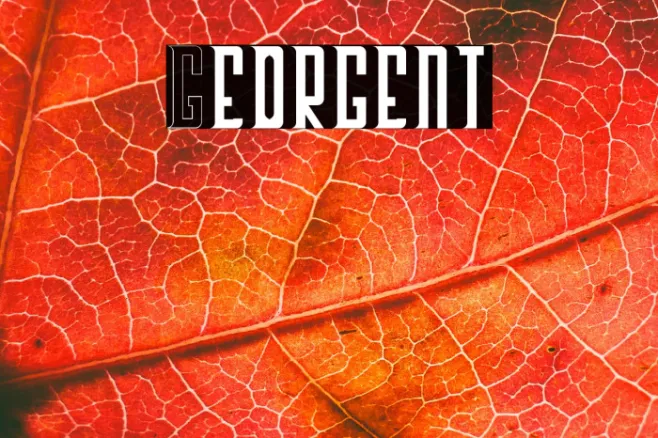 Georgent Example 3