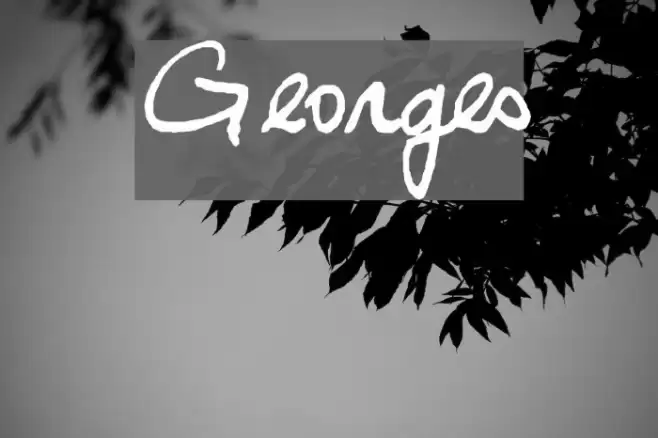 Georges Font examples