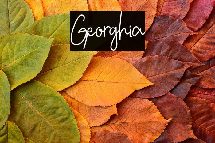 Georghia Example 1