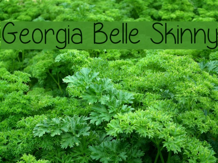 Georgia Belle Skinny Font examples