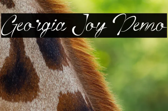 Georgia Joy Demo Example 3