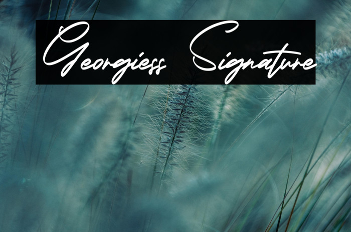 Georgiess Signature Example 2