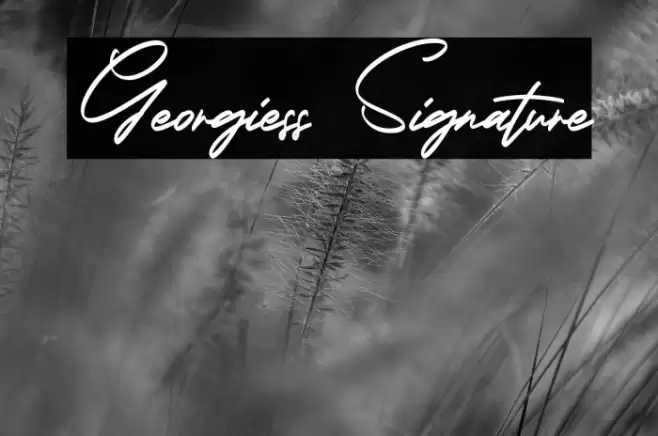 Georgiess Signature Font examples