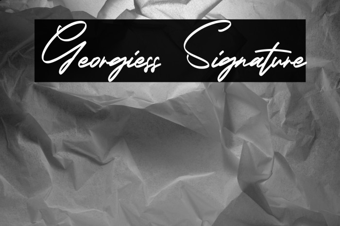 Georgiess Signature Example 3