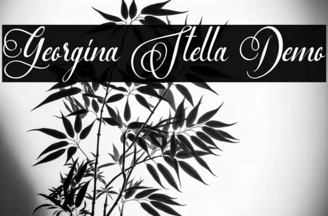 Georgina Stella Demo Font examples