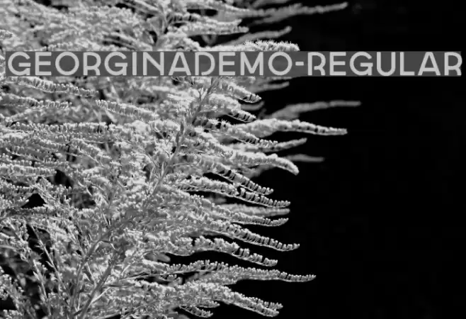 GeorginaDemo-Regular Font examples