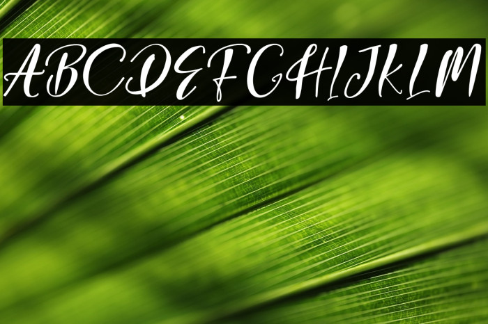 GeorginaScript Example 1