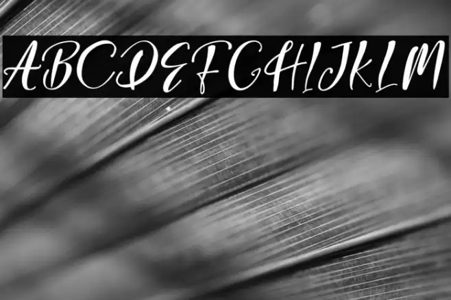 GeorginaScript Font examples