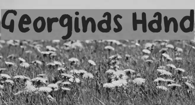 Georginas Hand Font examples