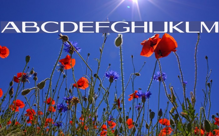 Georgiquas Font examples
