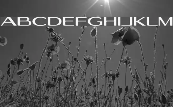 Georgiquas Font examples