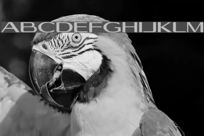 Georgiquas Font examples