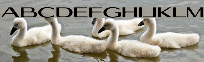 Georgiquas Font examples