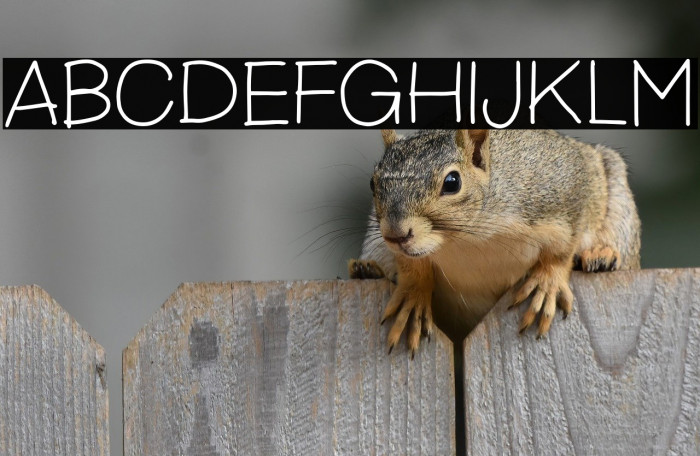 GeorudeDEMO Example 3